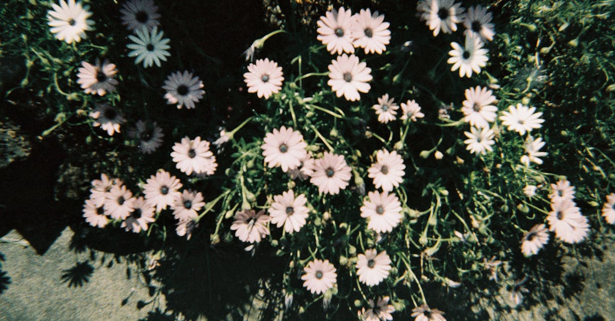 Brunch with a Cityscape: Best Urban Views in Melbourne