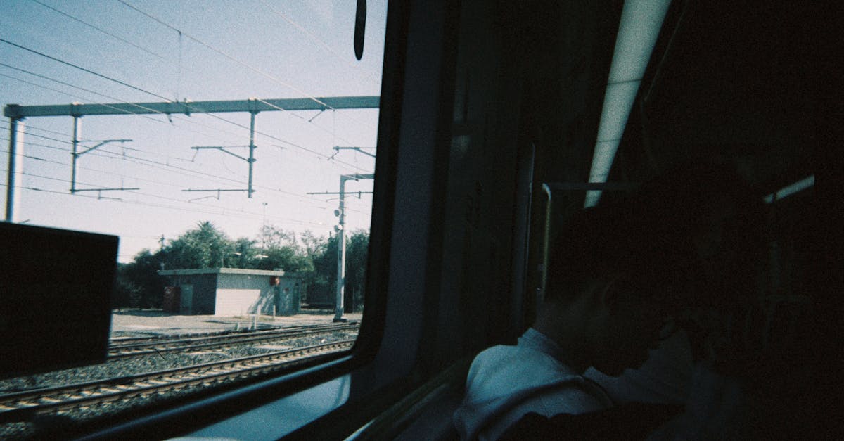 Exploring the Rise of Plant-Based Ingredients in Melbourne's Brunch Scene