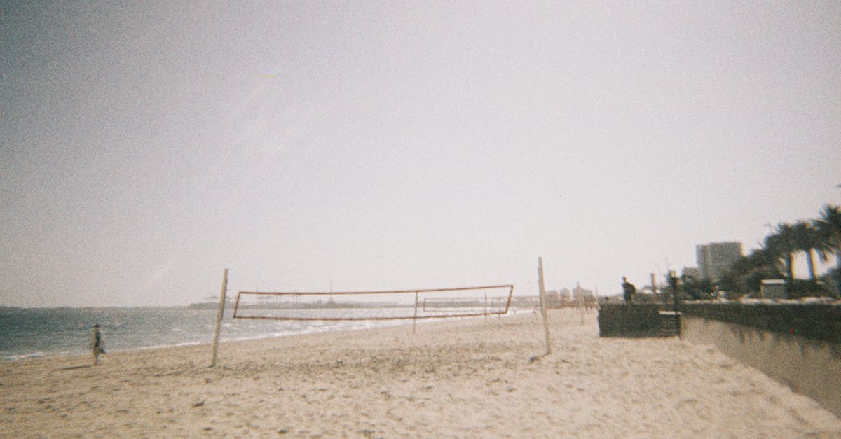 Quick Baked Beans on Sourdough for Brunch Lovers