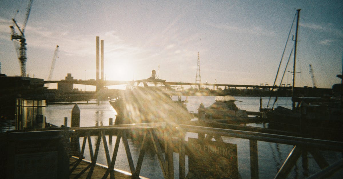 Sustainable Sourcing: How Local Ingredients Shape Health-Conscious Brunch