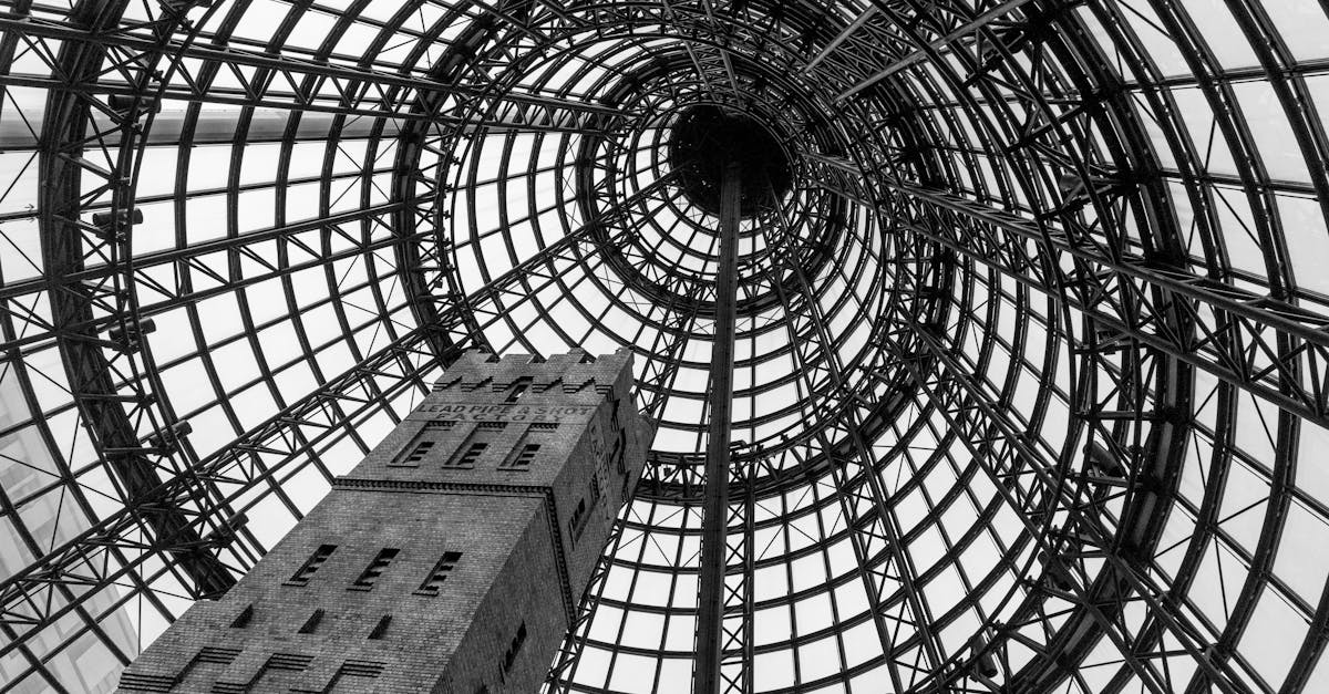 The Rise of Vegan Brunch: Melbourne's Must-Visit Spots