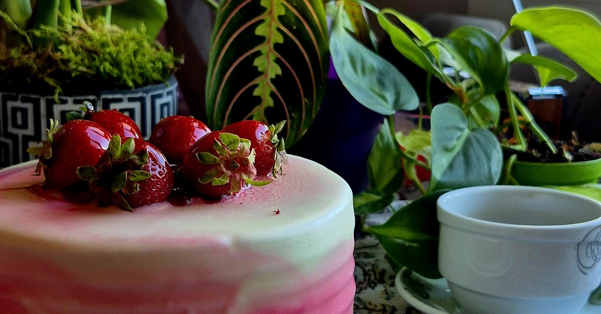 Zero-Waste Brunch: Innovative Practices at Melbourne Cafés